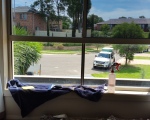 20160302_133746.jpg