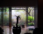 gallery68