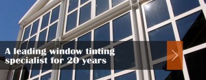robson window tinting