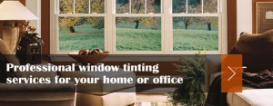 robson window tinting
